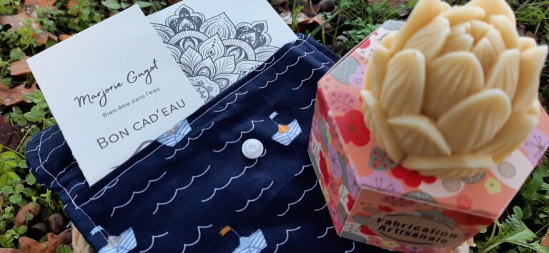 pochette cadeau bleue avec un bon cad'eau et un savon en forme de pigne de pin.